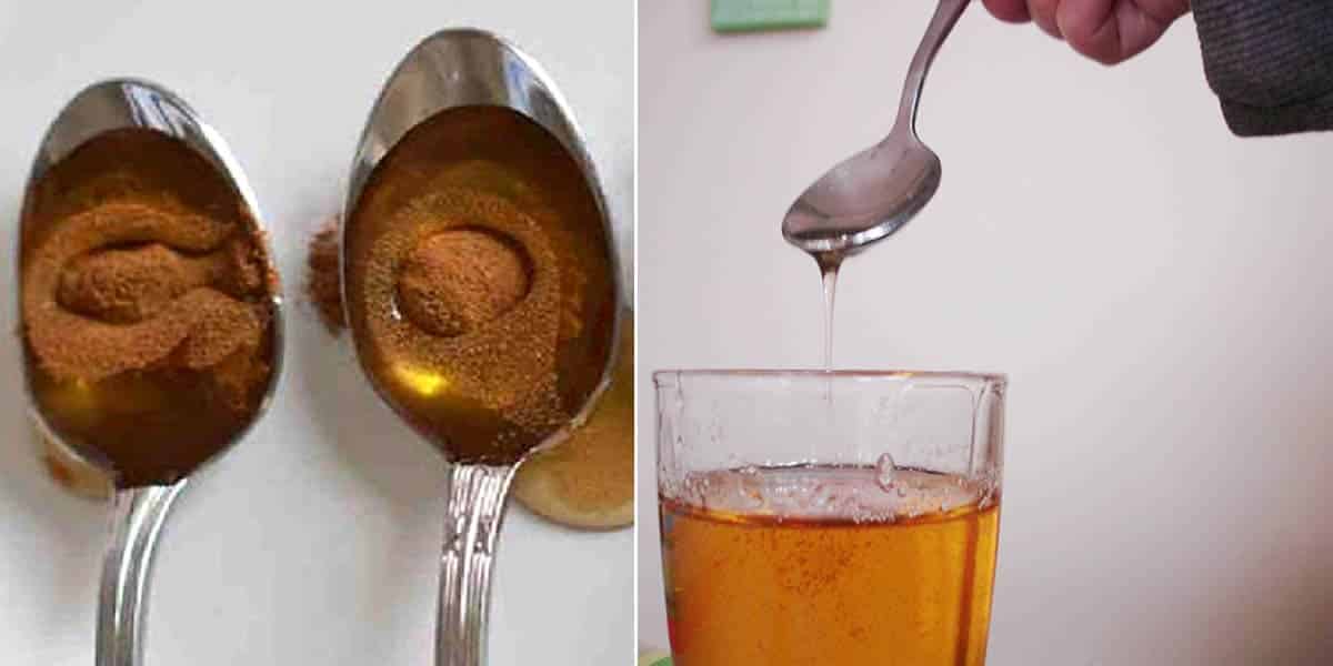 Bebida com canela e mel para tratamento de infecção urinária