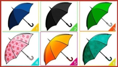 Escolha um guarda-chuva e descubra mais sobre você