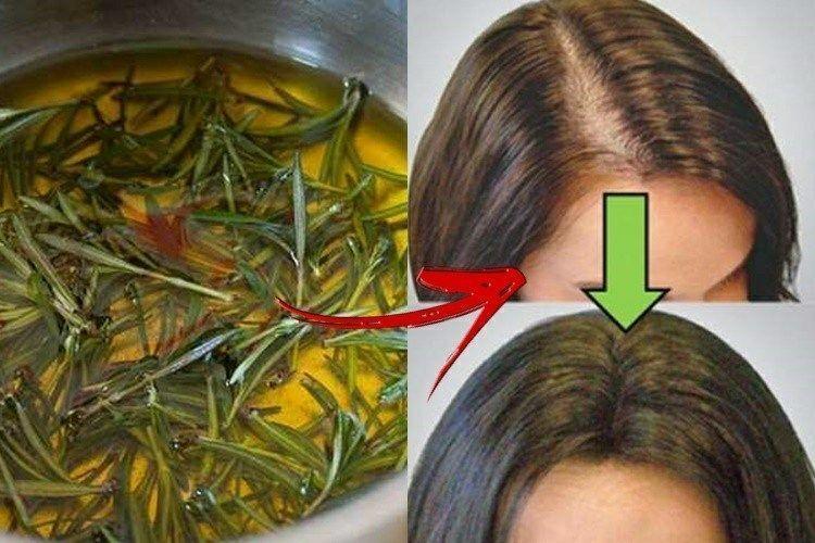 5 maneiras de usar alecrim para tratar a queda de cabelo