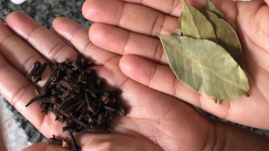 Chá de louro com cravo-da-índia: Combate articulações e dores na coluna