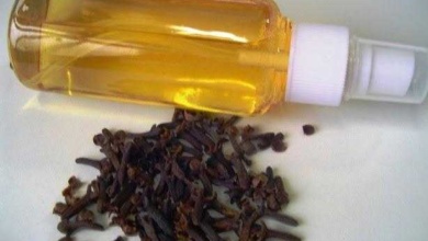 Como deixar as formigas e as moscas bem longe da sua mesa: Aprenda a fazer um repelente natural!