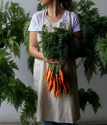 como plantar cenoura