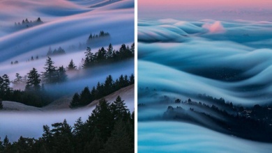 10 fotos incríveis de nevoeiros