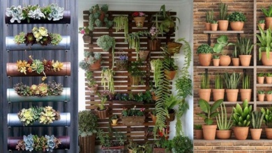 24 Ideias de jardins de parede criativas