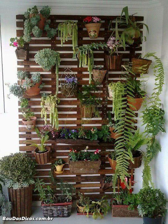 24 Ideias de jardins de parede criativas