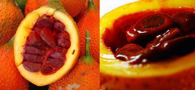 15 frutas diferentes que você talvez nunca tenha visto
