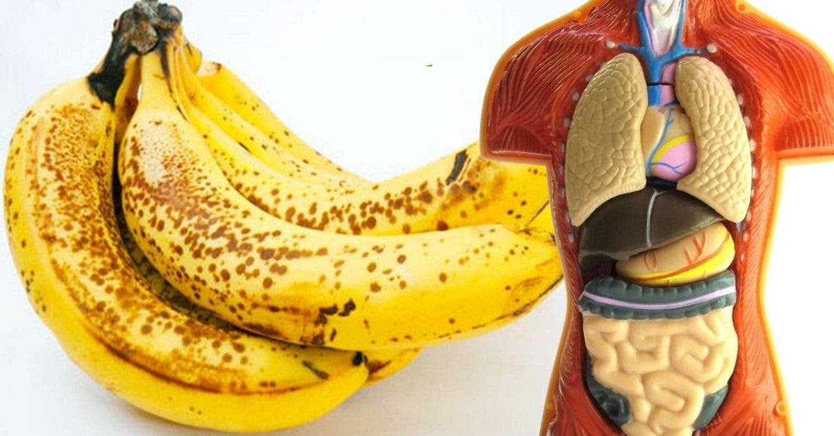 7 Benefícios de comer duas bananas por dia