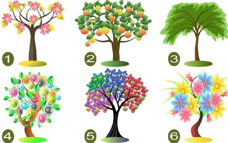 Escolha uma árvore e nós revelaremos seus traços de personalidade dominante!