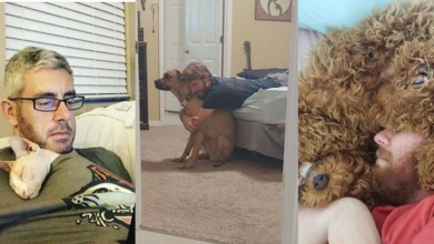 20 Pais que não queriam animais de estimação em casa e agora adoram ser “vovôs” de pets