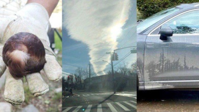 19 vezes que os internautas capturaram fenômenos raros em fotos