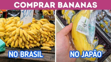 10 Coisas comuns no Brasil que podem ser raras em outros países