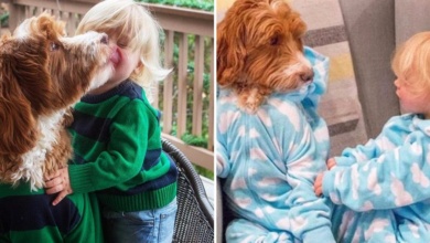 bebê e cão e combinam looks e inundam a internet de fofura!