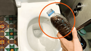 Jogar a borra do café no vaso sanitário resolve um dos maiores problemas do banheiro
