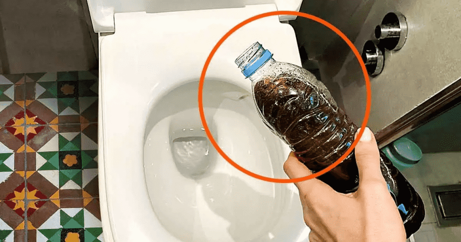 Jogar a borra do café no vaso sanitário resolve um dos maiores problemas do banheiro