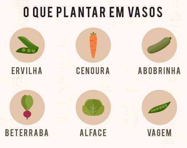 12 VERDURAS E LEGUMES PARA PLANTAR EM VASOS
