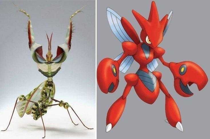 pokemon1