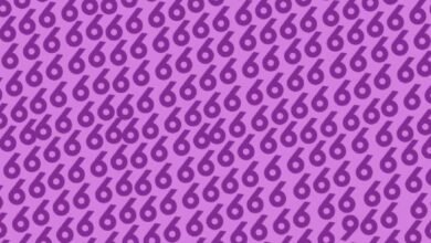 Descubra o número 96, a maioria não consegue em 5 segundos