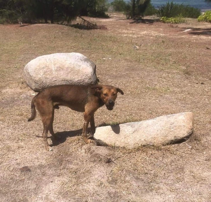 Como fazer em casa