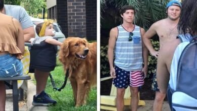 18 Imagens capazes de distorcer a lógica das nossas mentes