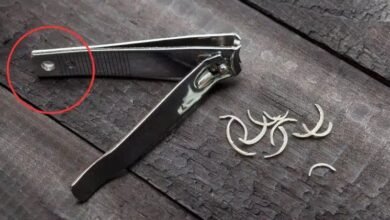 Você sabe para que serve o pequeno furo no cortador de unhas?