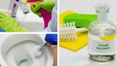 6 formas de limpar o banheiro com vinagre branco