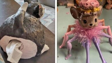22 pessoas com gosto excêntrico que encontraram os objetos de decoração perfeitos para elas