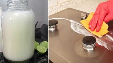 Aprenda como fazer desengordurante caseiro e pare de gastar dinheiro 