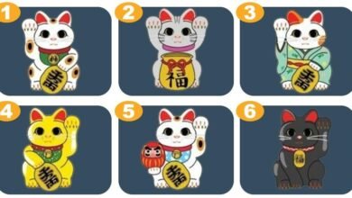Escolha um gato da sorte e obtenha uma revelação para o seu futuro 2