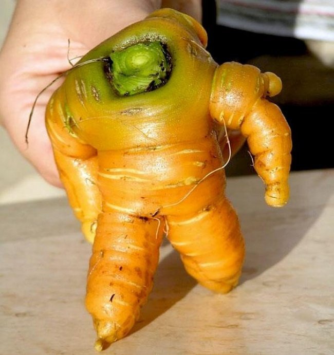 20frutas elegumes que parecem outra coisa