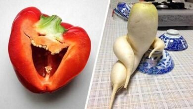 20 Legumes e frutas que parecem algo bem diferente