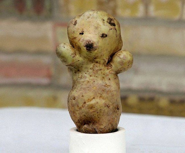 20frutas elegumes que parecem outra coisa