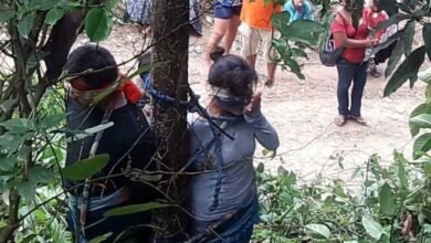 Boliviana foi amarrada a uma árvore por aldeões irritados – e depois condenada à morte por formigas