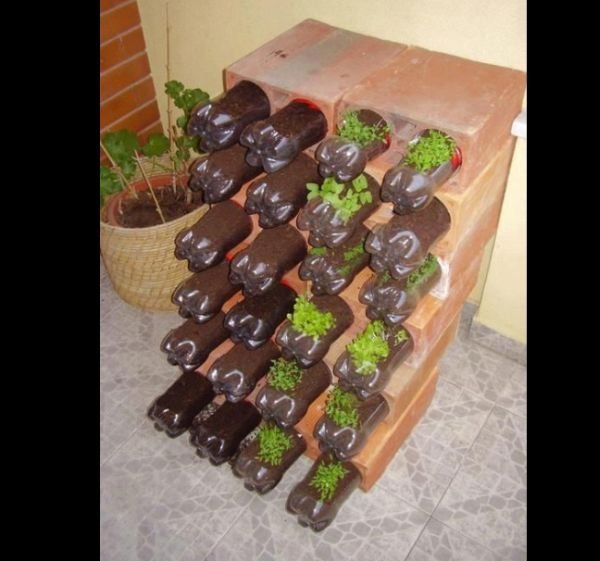horta com garrafa pet e bloco horta com garrafa pet e bloco