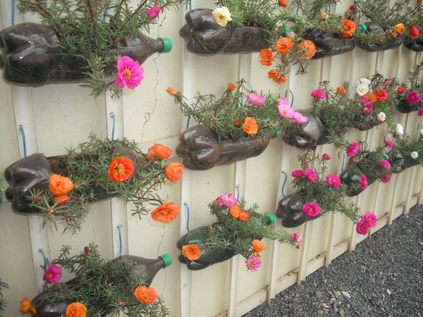 jardim com garrafa pet deitada jardim com garrafa pet deitada
