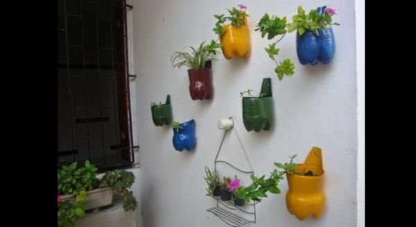 jardim com garrafa pet jardim com garrafa pet
