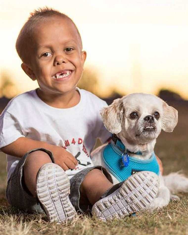 Garoto sofre bullying por sua aparência estranha. Então ele conhece um cão que muda sua vida