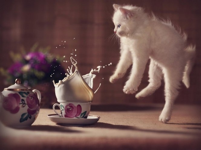 Foto: