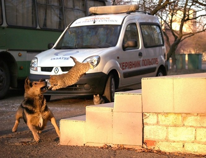 Foto: