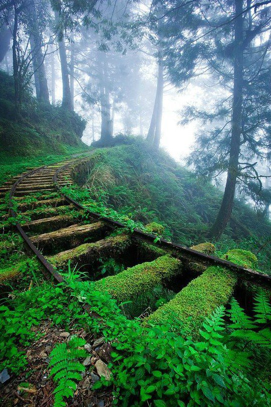 trem de ferro abandonada editada chinês