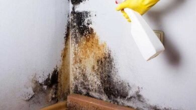 7 dicas caseiras para acabar com o mofo em casa