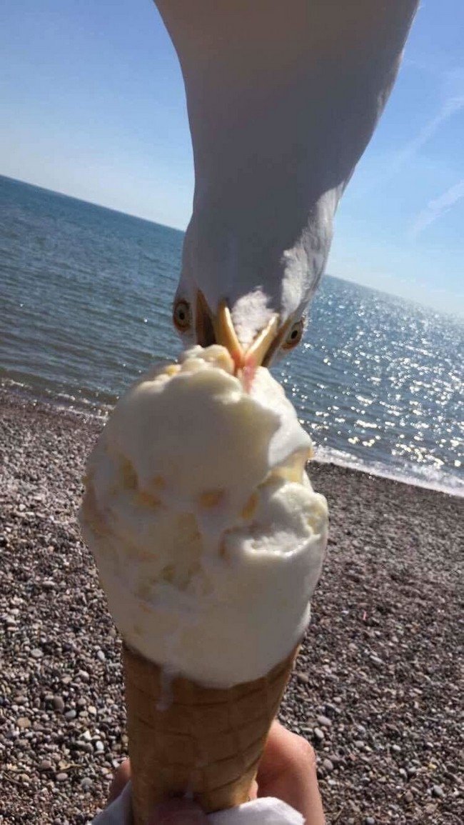 1749691576 53 19 Fotos que seriam totalmente comuns se nao fossem seus