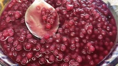 Sagu de Vinho: receita de sagu simples e deliciosa