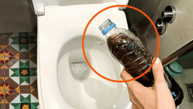 Como limpar rejunte encardido de forma simples e rápida