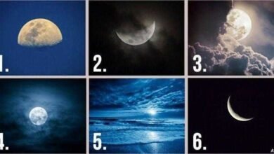 Escolha uma lua e ela revelará seus pensamentos escondidos