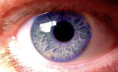 olhos violeta