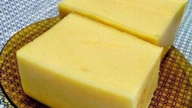 2 Receitas de Mussarela Caseira que Derrete