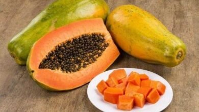 10 Motivos que vão fazer você começar a comer mamão diariamente