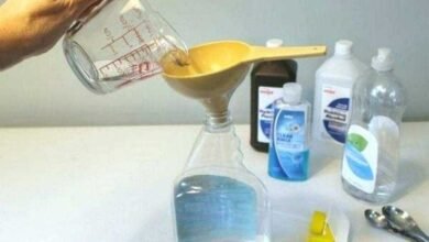 Como fazer limpador de vidro caseiro 100% natural