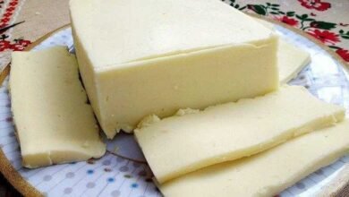 Queijo mussarela caseiro