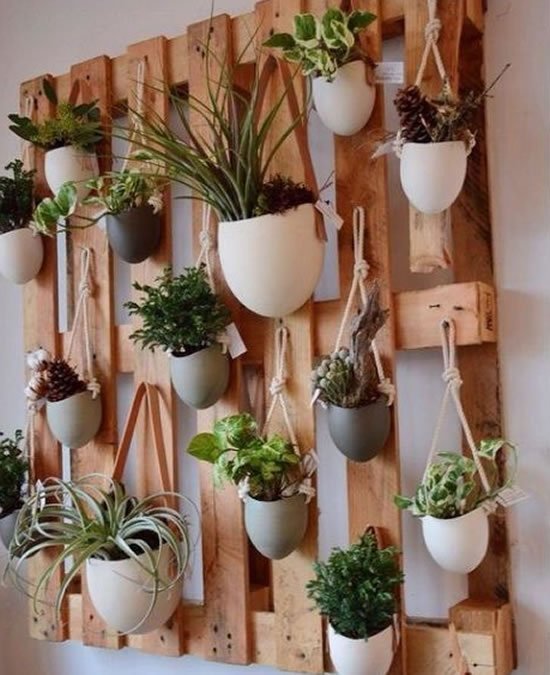 Jardins verticais lindos para inspiração
